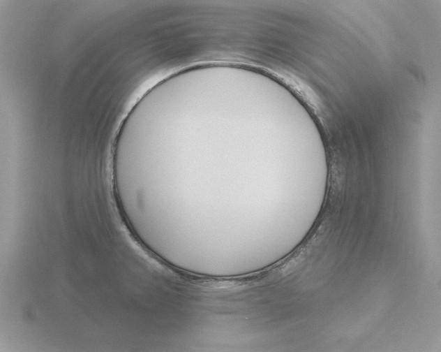 X0000115831382200912111303