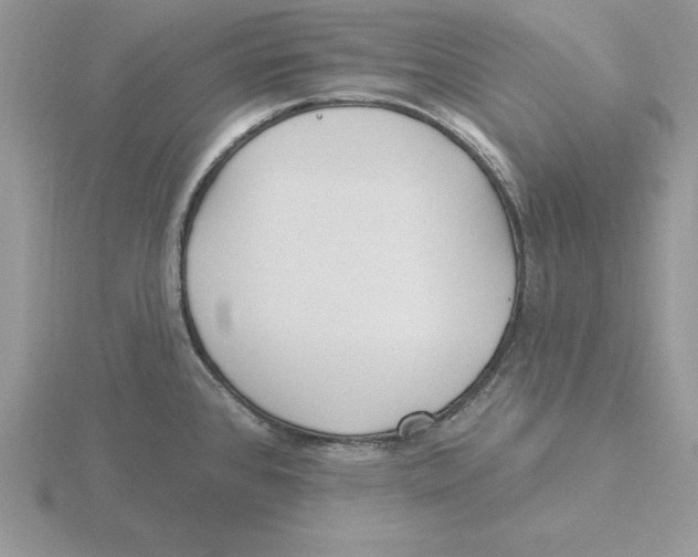 X0000115831384200912111303