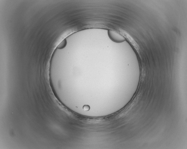 X0000115831386200912111303