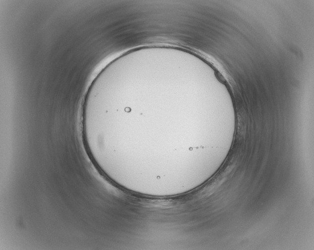 X0000115831387200912111303