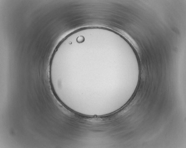 X0000115831388200912111303