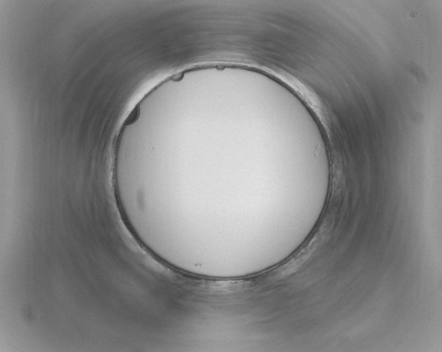 X0000115831390200912111303