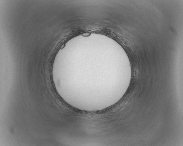 X0000115831393200912111303