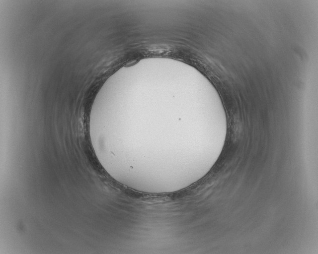 X0000115831394200912111303