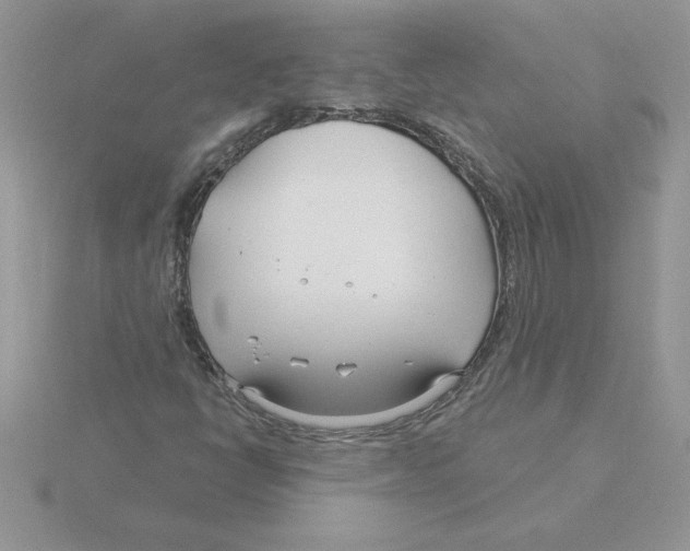 X0000115831398200912111303