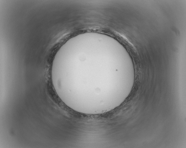 X0000115831399200912111303