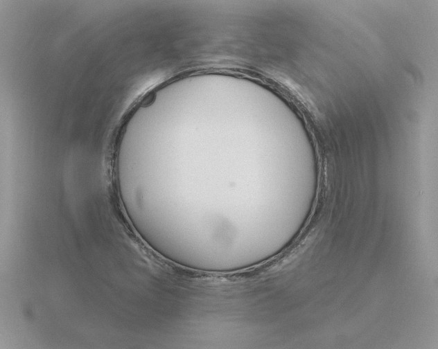 X0000115831405200912111303