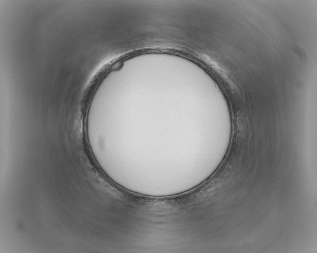 X0000115831408200912111303