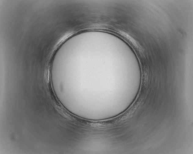 X0000115831413200912111303