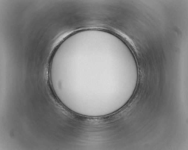 X0000115831415200912111303