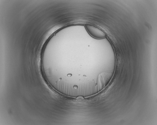 X0000115831418200912111303