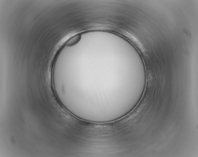 X0000115831419200912111303