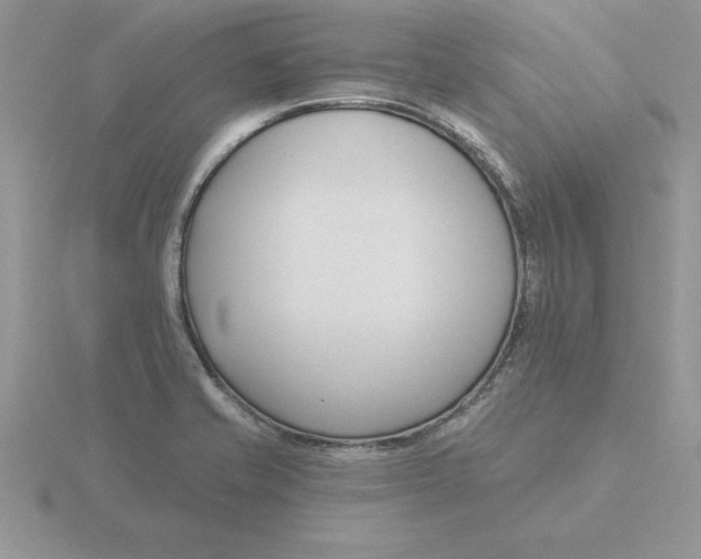 X0000115831421200912111303