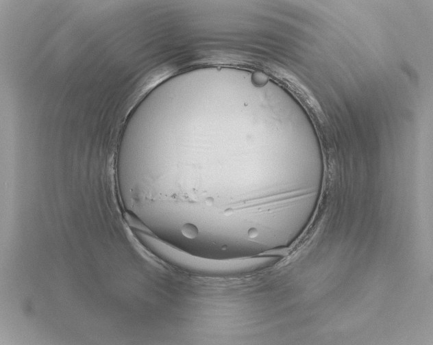 X0000115831425200912111303