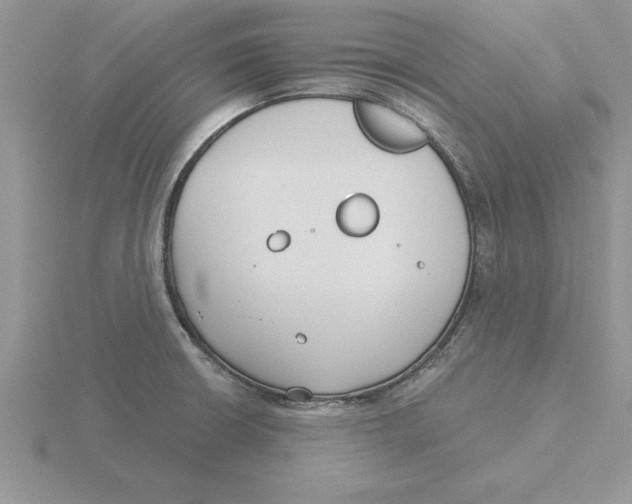 X0000115831426200912111303