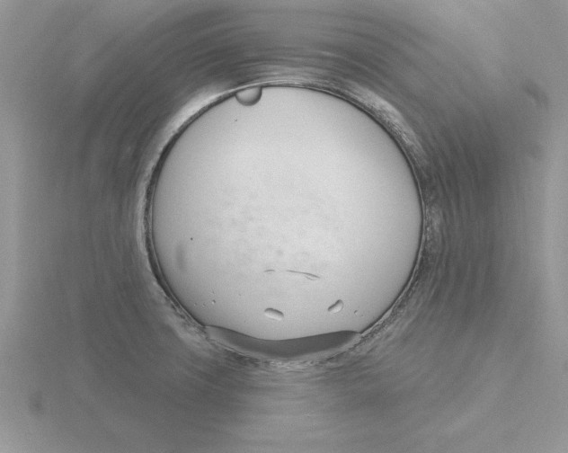 X0000115831427200912111303