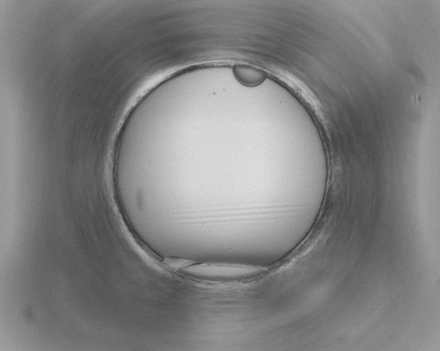 X0000115831429200912111303