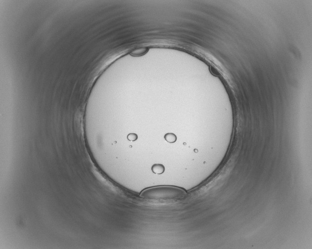 X0000115831433200912111303