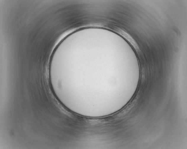 X0000115831436200912111303