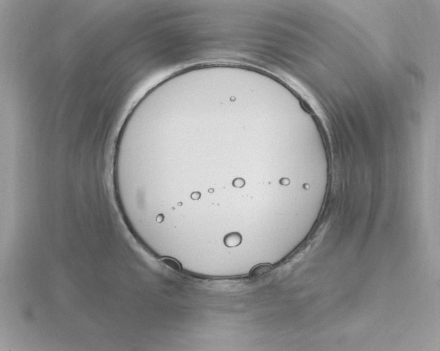 X0000115831437200912111303