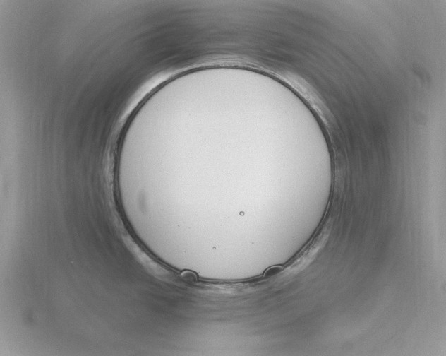 X0000115831438200912111303