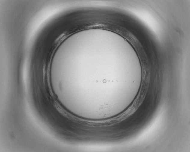 X0000115831439200912111303