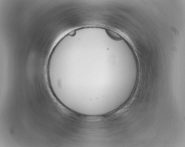 X0000115831440200912111303