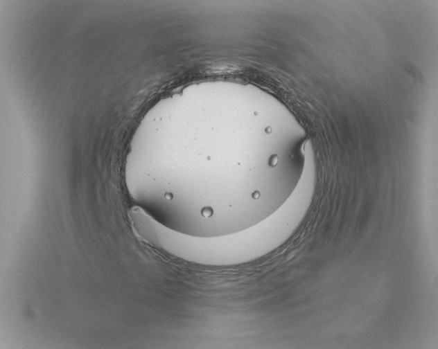 X0000115831441200912111303