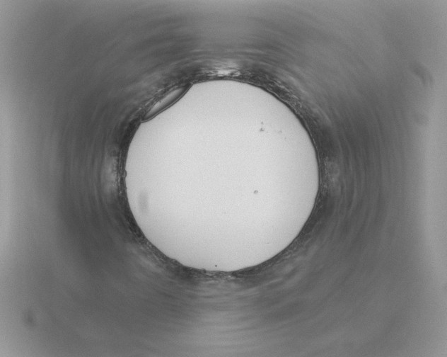 X0000115831442200912111303