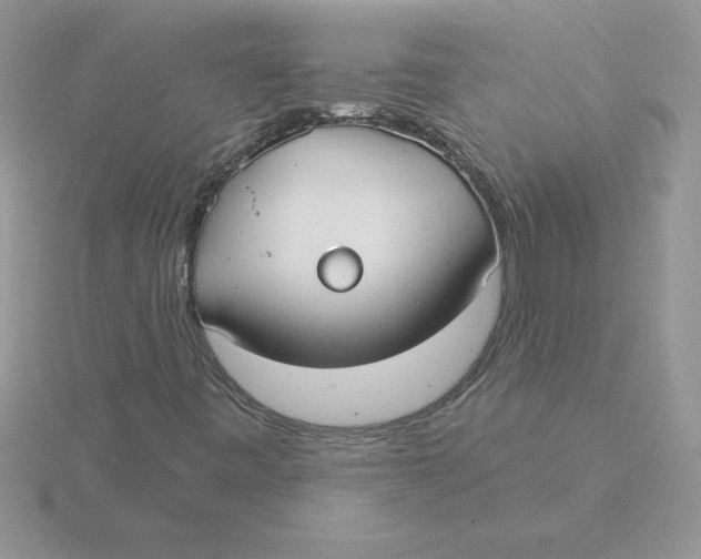 X0000115831443200912111303