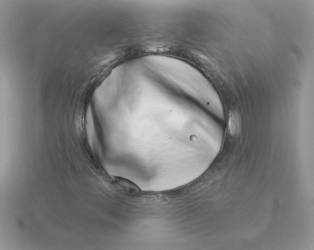 X0000115831444200912111302