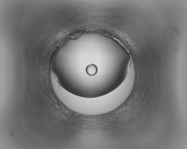 X0000115831445200912111302