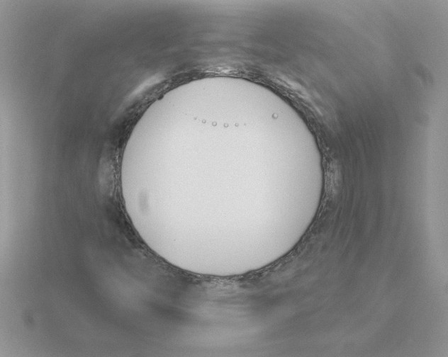 X0000115831446200912111302