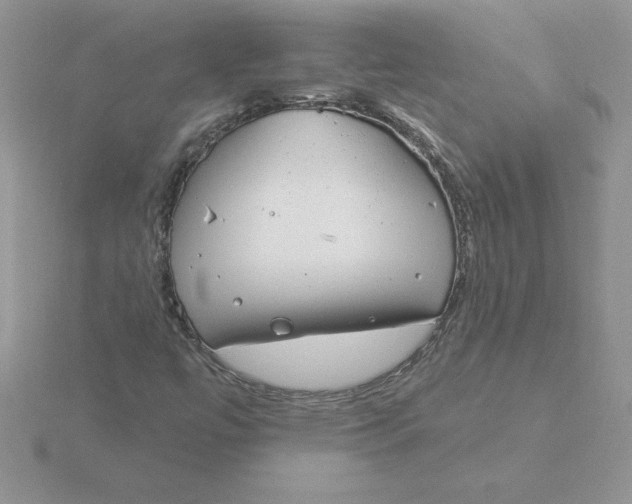 X0000115831447200912111302