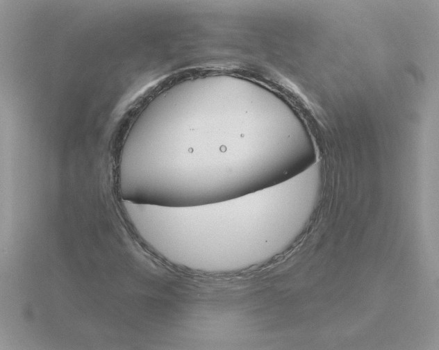 X0000115831448200912111302