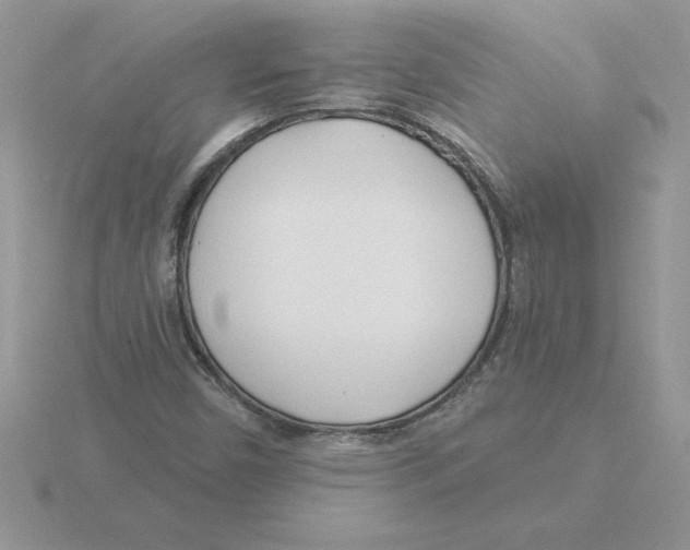 X0000115831450200912111302