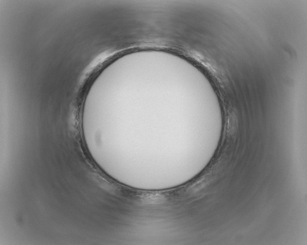 X0000115831454200912111302