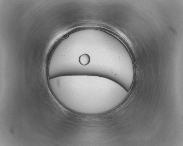 X0000115831464200912111302