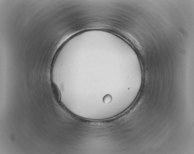 X0000115831465200912111302