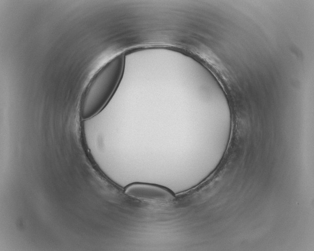 X0000115831469200912111302