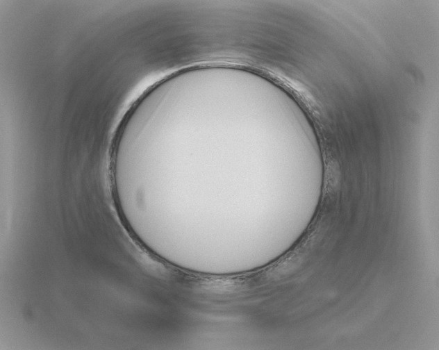 X0000115831470200912111302