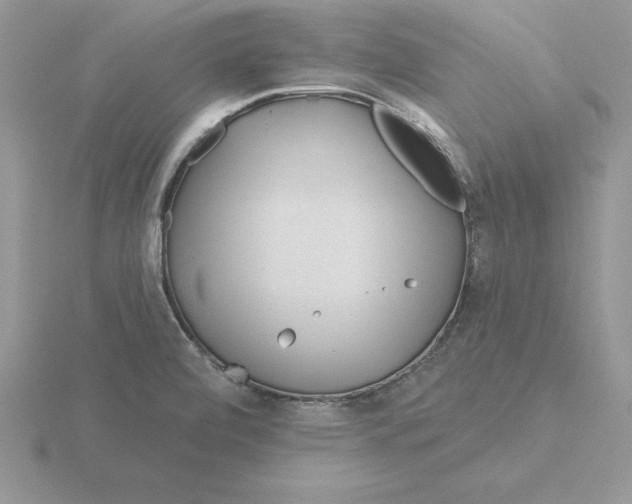 X0000115831472200912111302