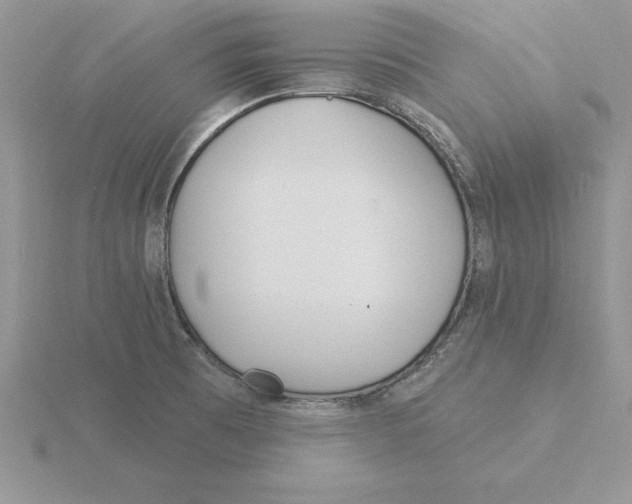 X0000115831473200912111302