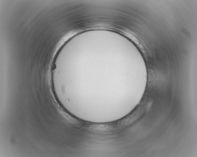 X0000115831474200912111302