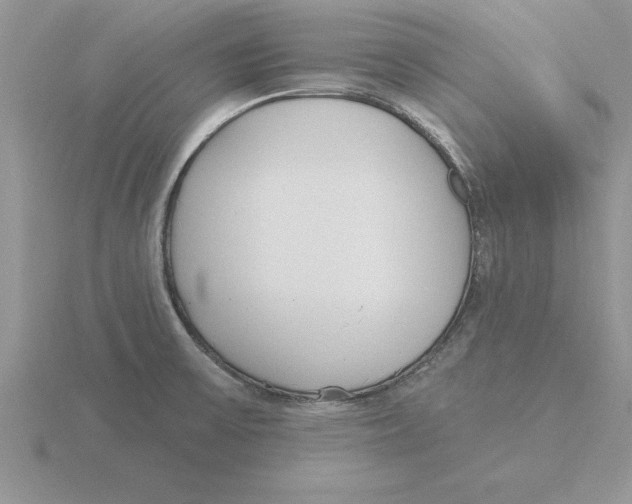 X0000115831475200912111302