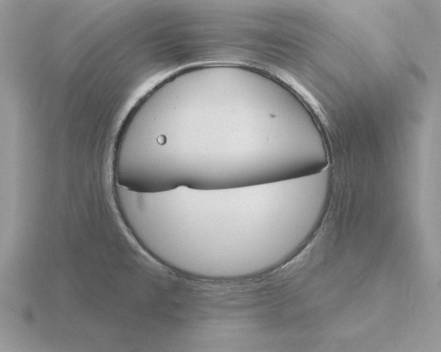 X0000115831477200912111302