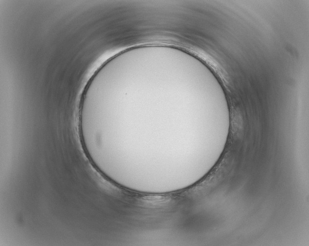 X0000115831478200912111302