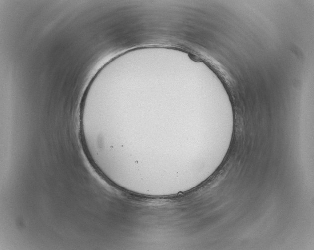 X0000115831479200912111302