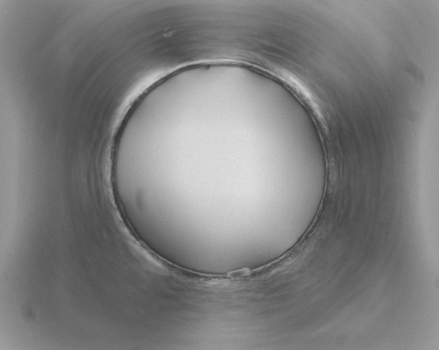 X0000115831480200912111302