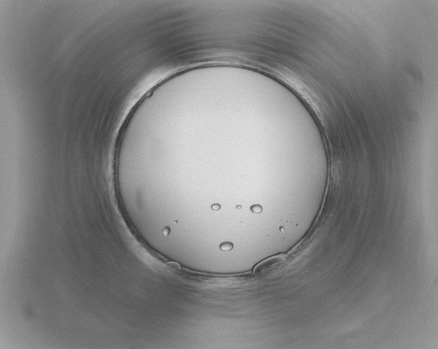 X0000115831482200912111302